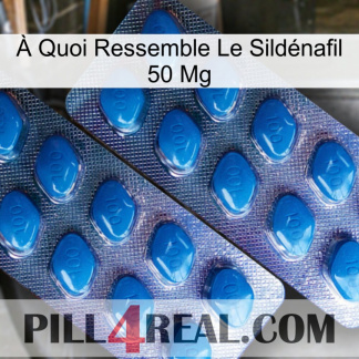 À Quoi Ressemble Le Sildénafil 50 Mg viagra2